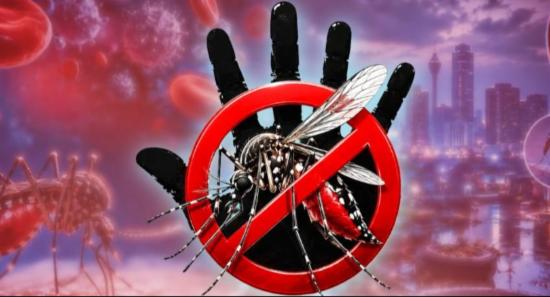 National Dengue Control Programme Continues